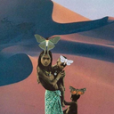 zoeloka-blog avatar