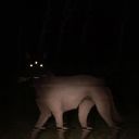 zoemillinwrites avatar