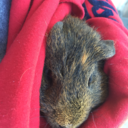 zombiesarelikeme-blog avatar