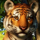 zoodiaries avatar