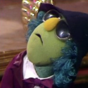 zootenthusiast avatar