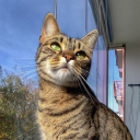 zoufalystudentnaskmupol avatar