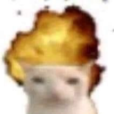 zz-zz-zz-zz-zz avatar